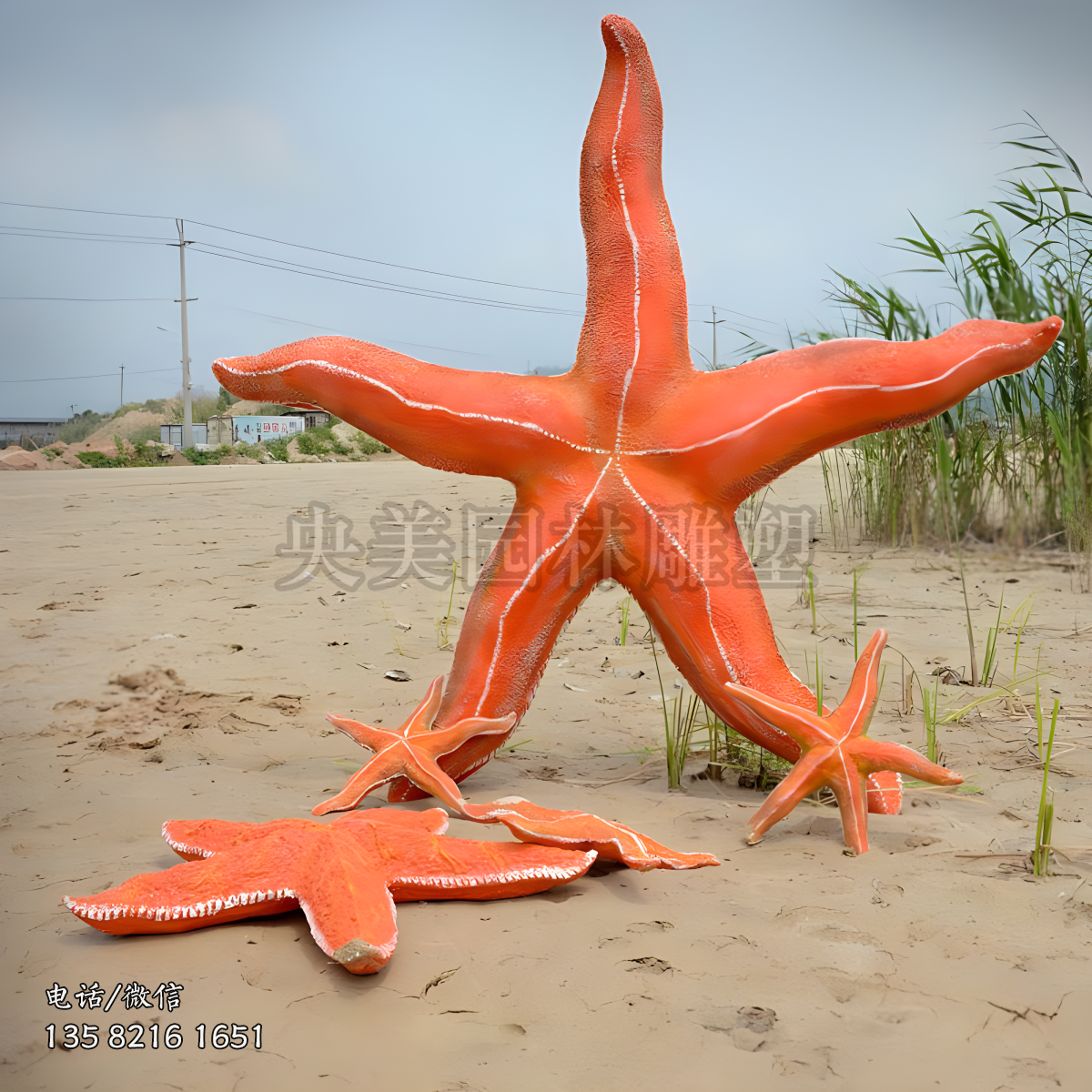 玻璃鋼仿真海星雕塑