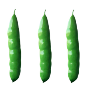 仿真豆角 玻璃鋼